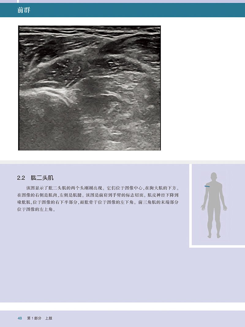 大众科普