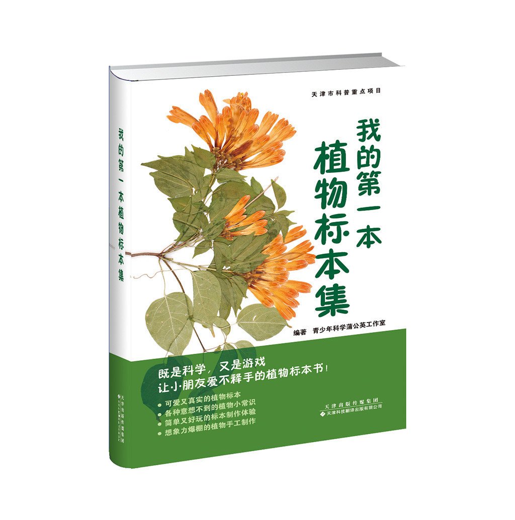 社内动态