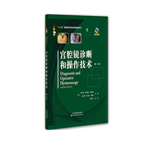 社内动态