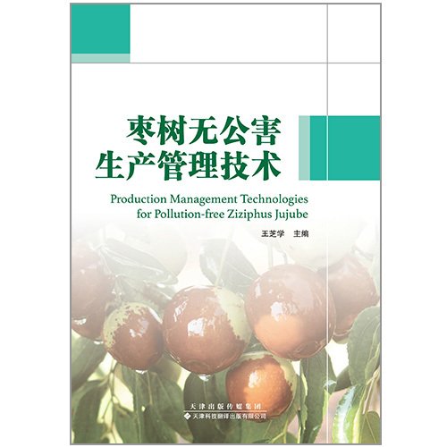 外语星空综合体育app官方下载正规渠
