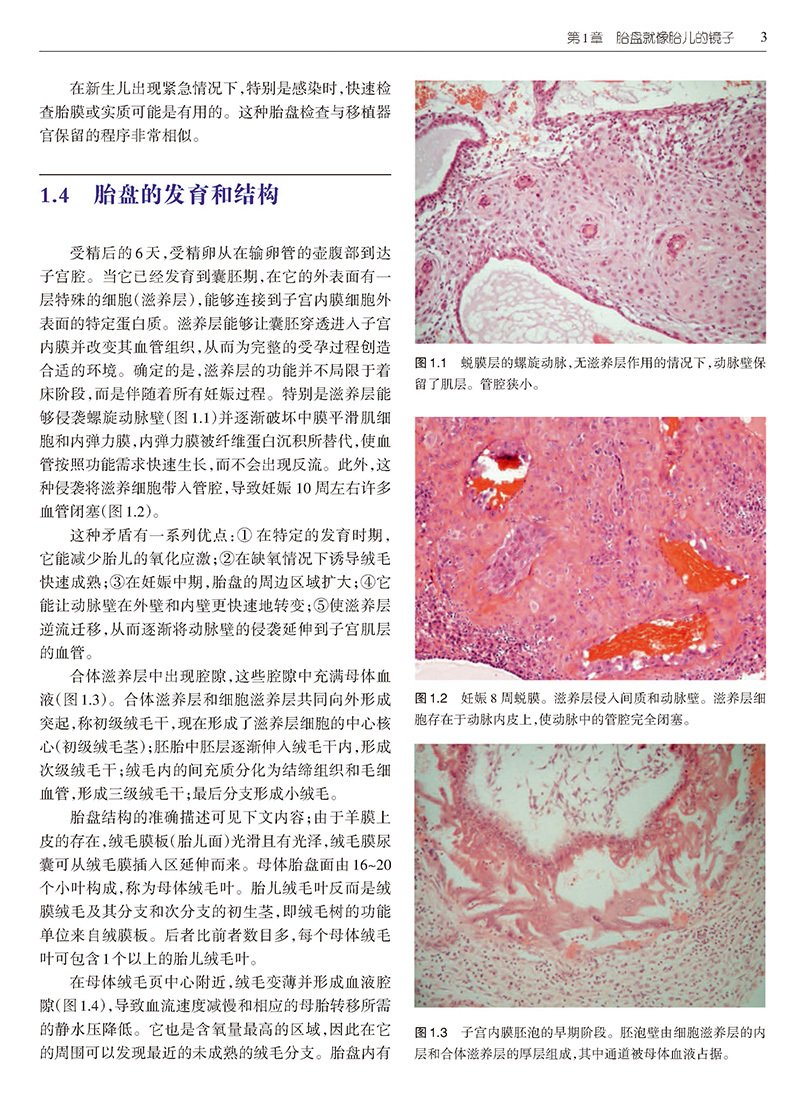 医学专著