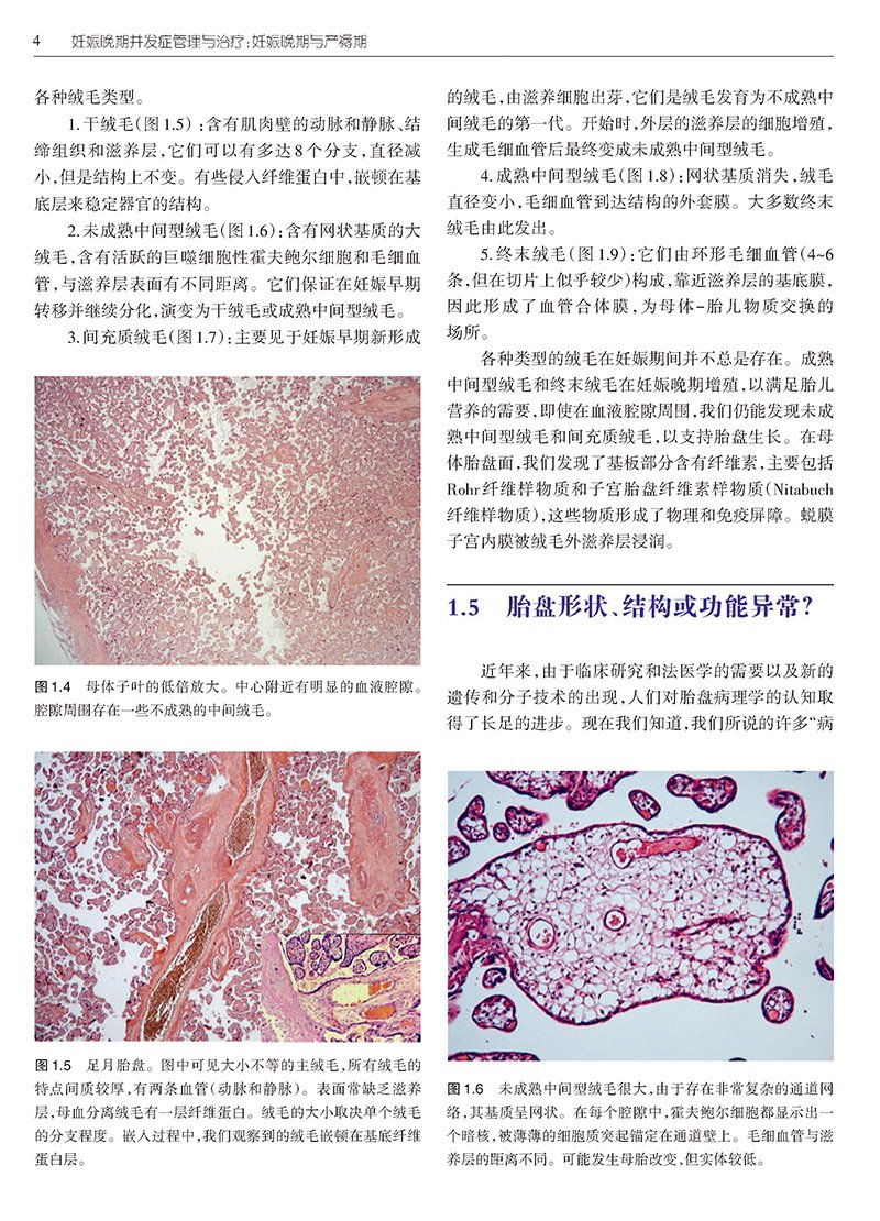 大众科普