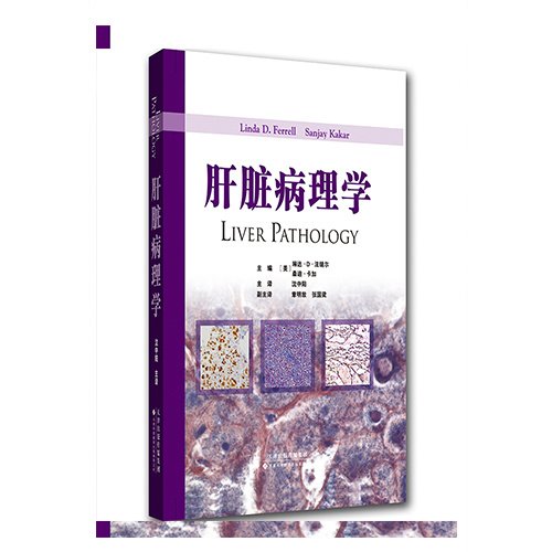 大众科普