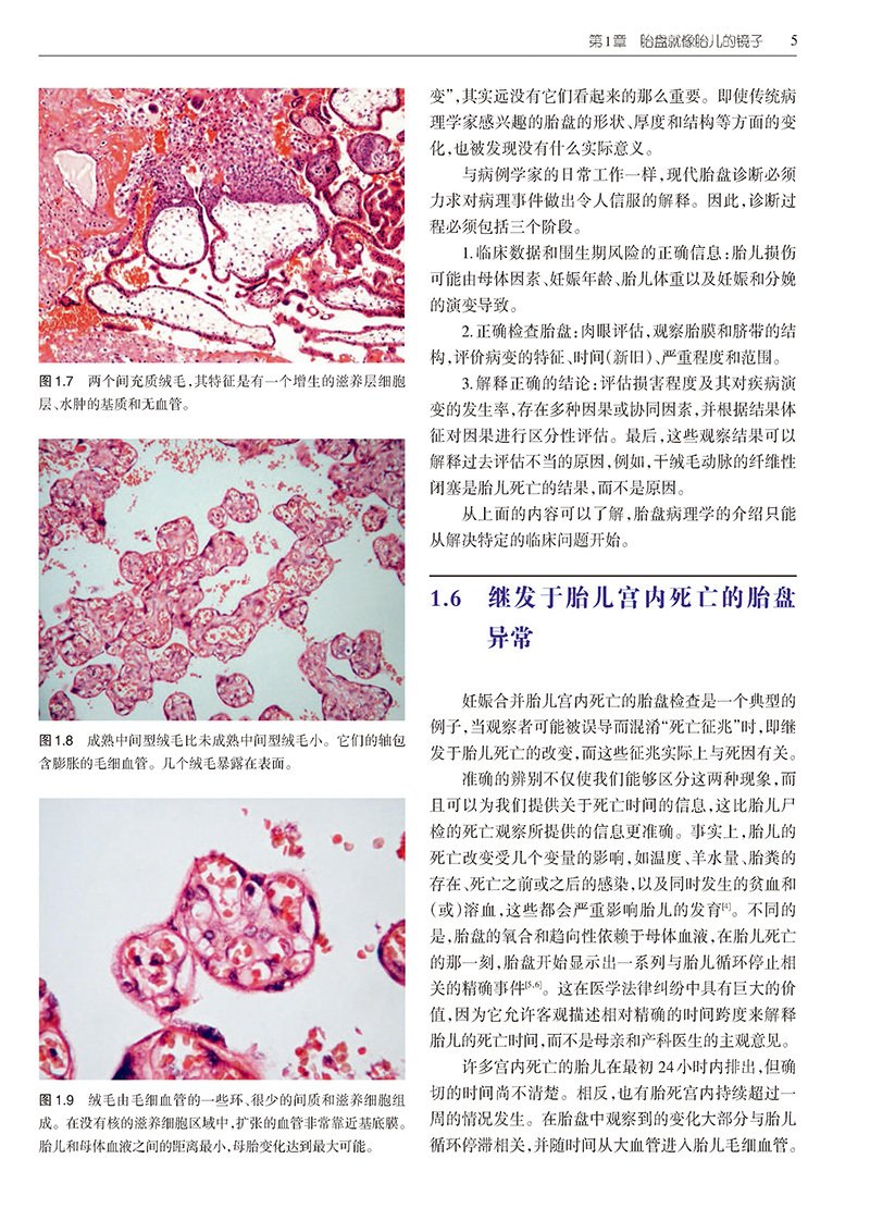 外语星空体育综合app下载新手怎么玩