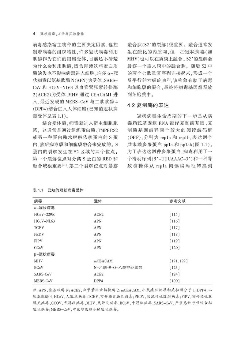 外语星空体育综合app下载新人权益