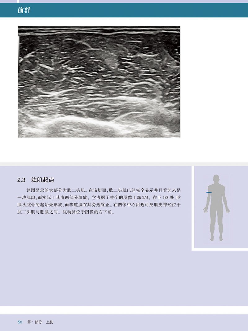 其他类别