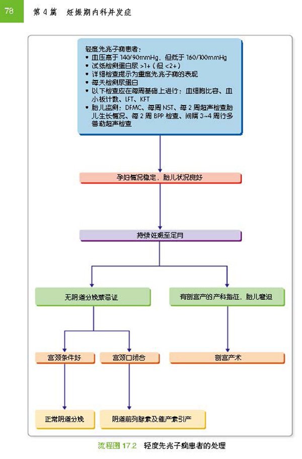 大众科普