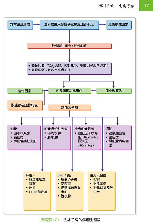 医学专著
