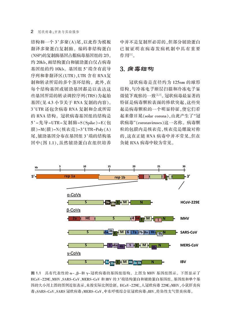 其他类别